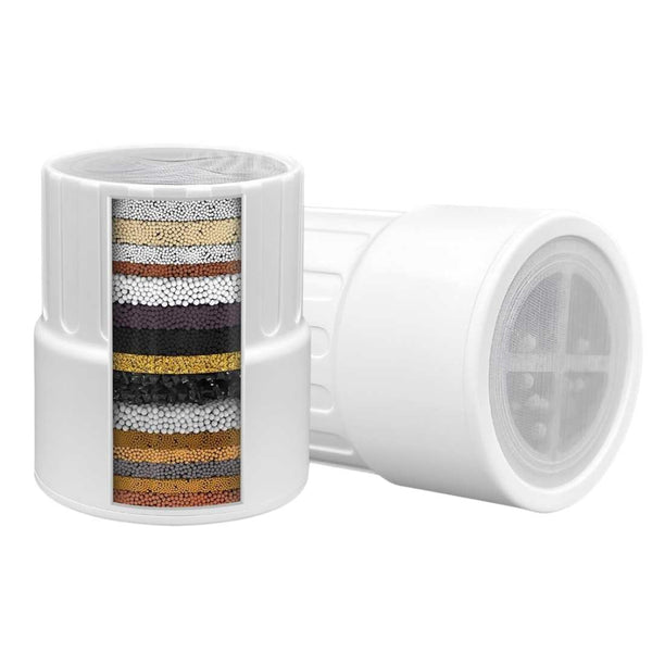 2 Filter/Month - IonFlow (CC)